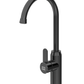 Stainless steel black faucet